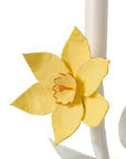 Daffodil Sconce