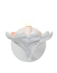 Harper Sconce
