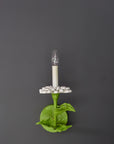 Carmen Sconce