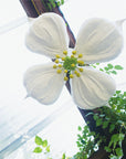 Dogwood Ceiling Light
