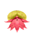 Double Dotty Canopy Kit