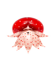 Double Dotty Canopy Kit