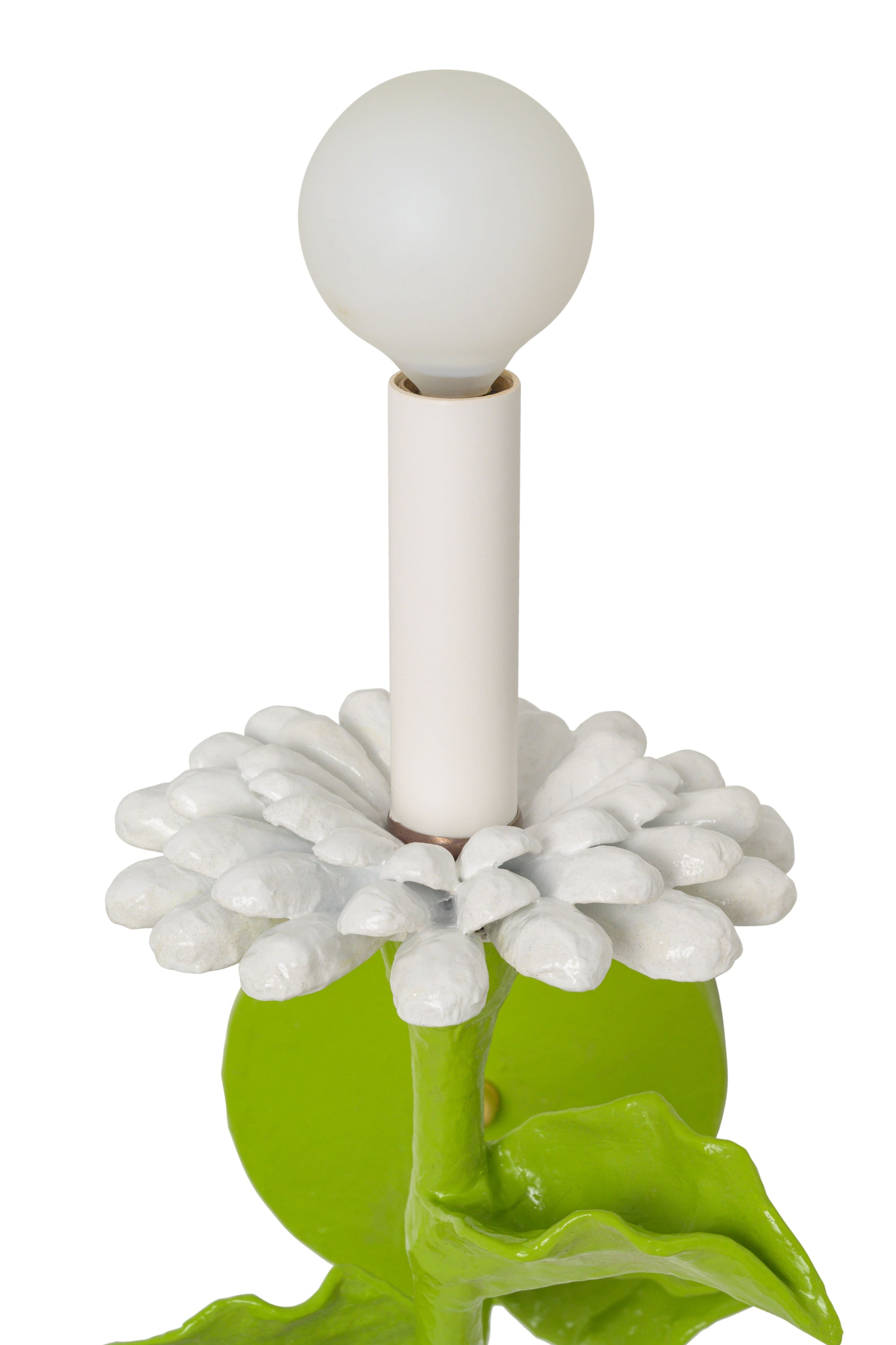 Carmen Sconce