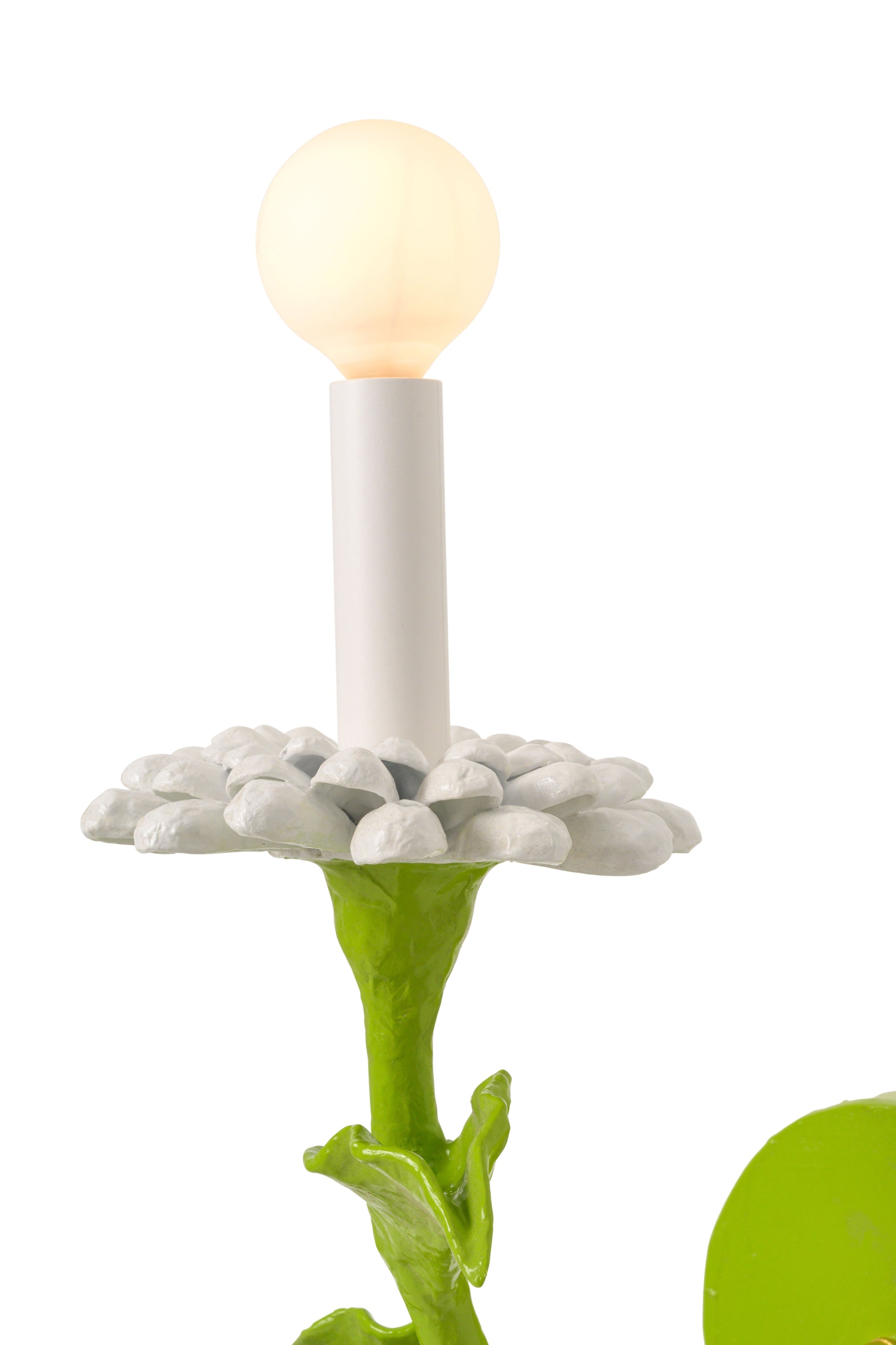 Carmen Sconce