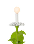 Carmen Sconce