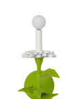 Carmen Sconce