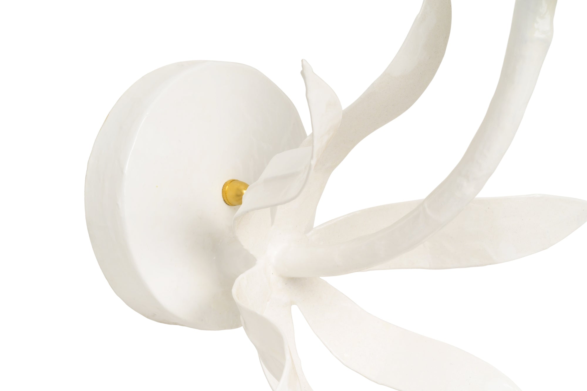 Daffodil Sconce