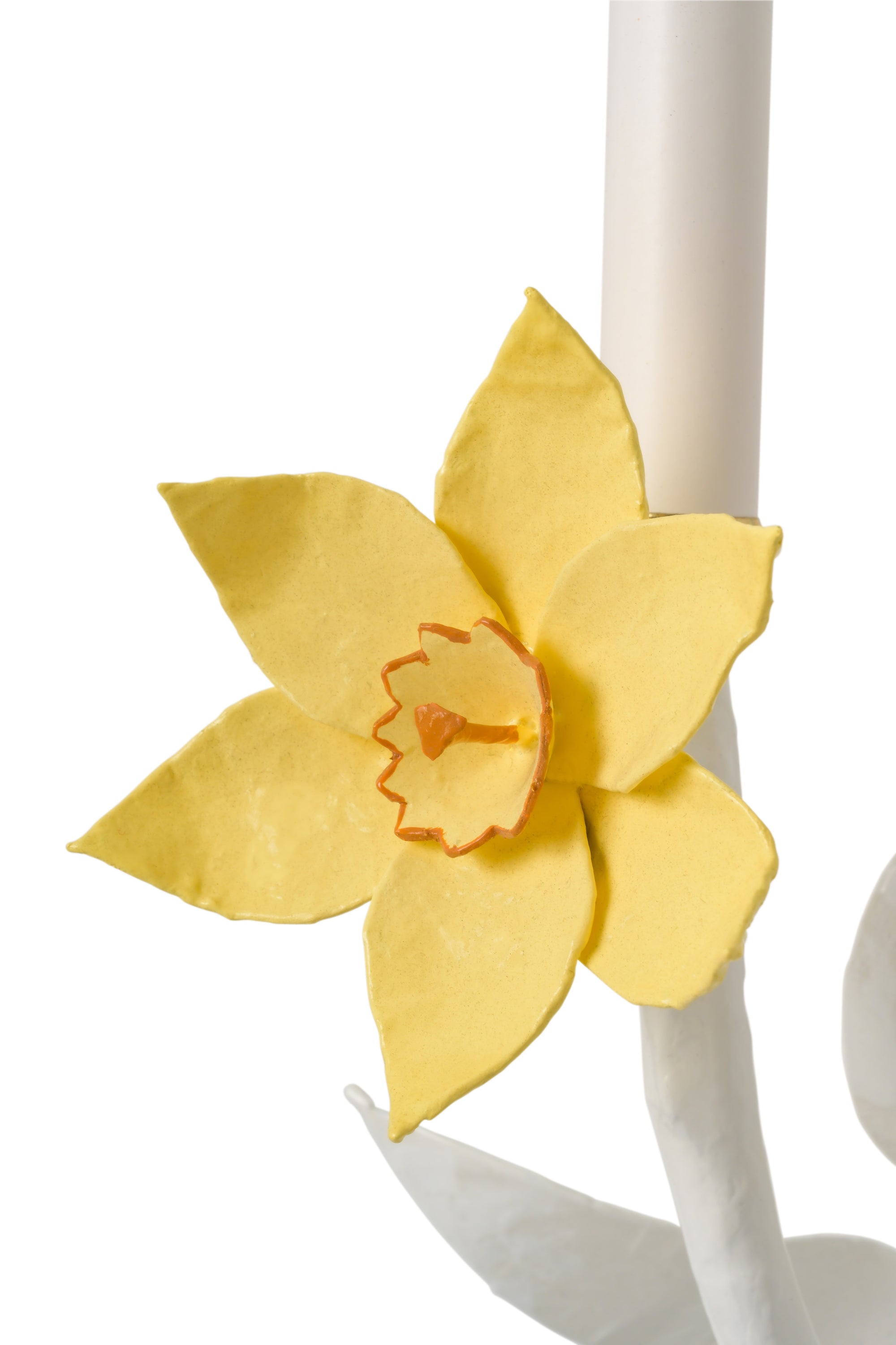 Daffodil Sconce