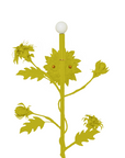 Dahlia Sconce