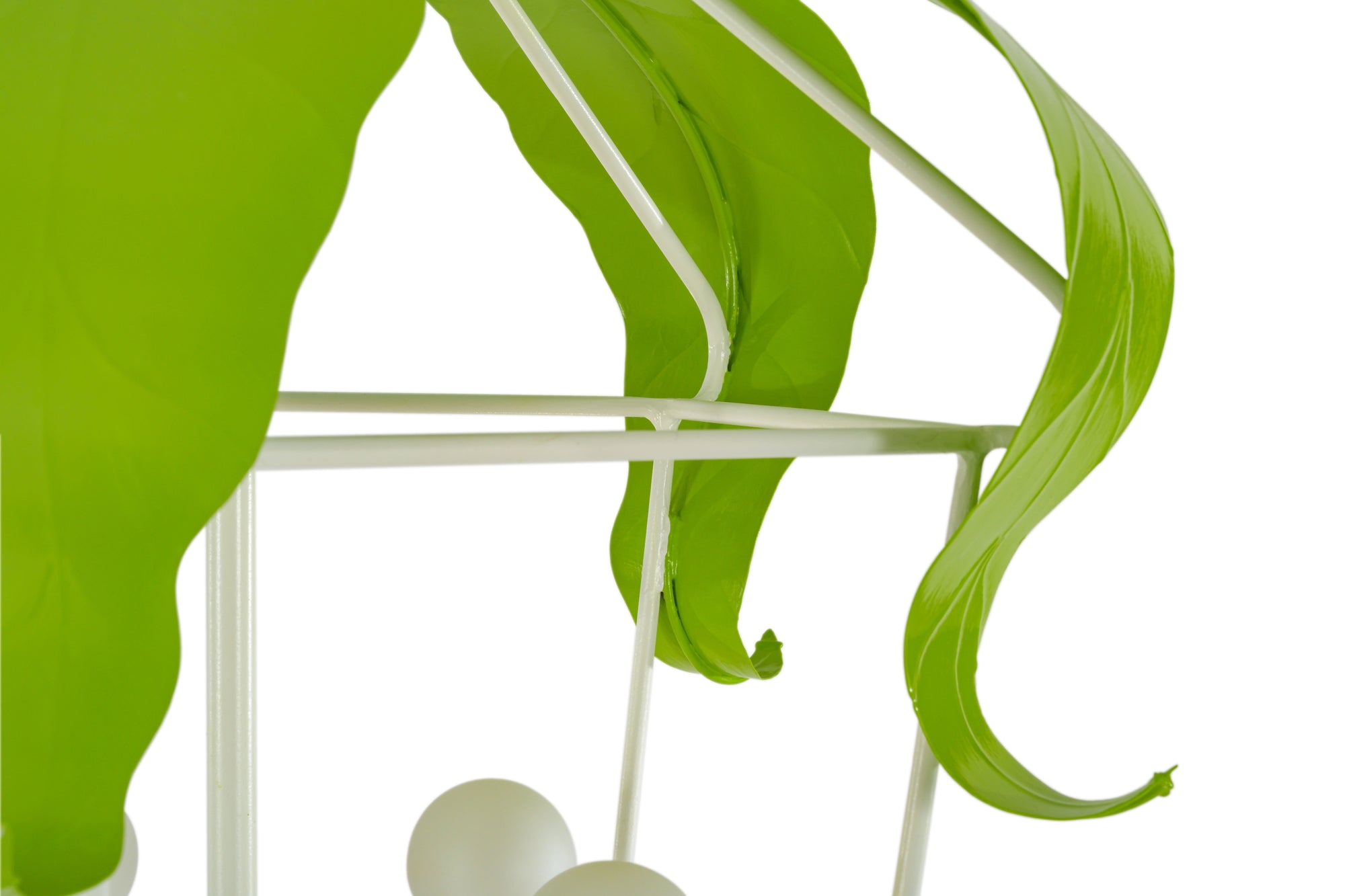 Peapod Lantern