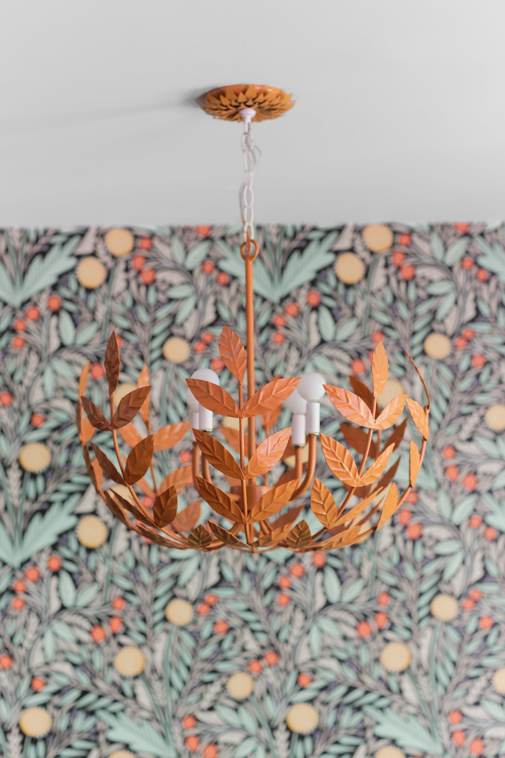 Dahlia Canopy Kit