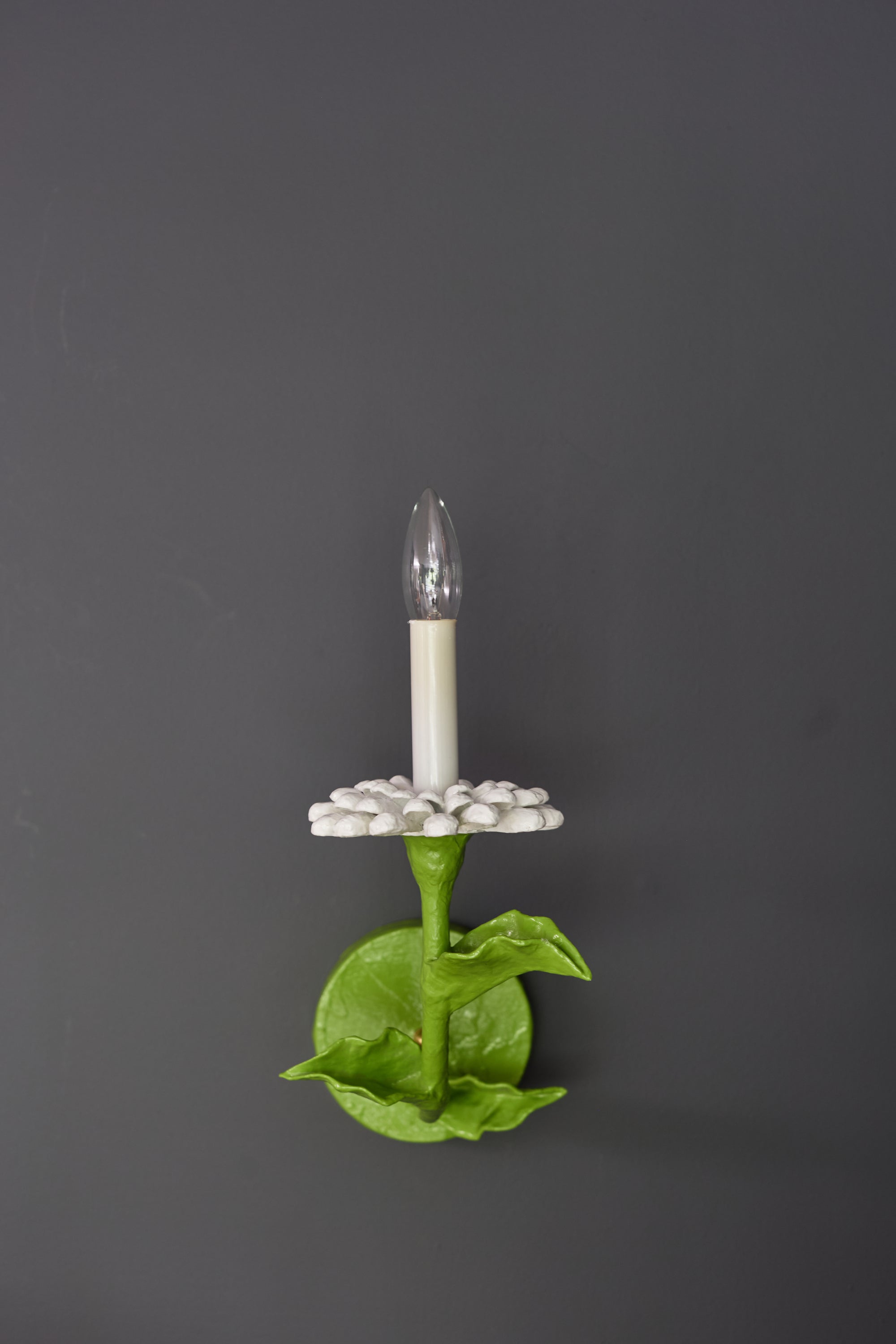 Carmen Sconce