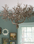 Olive Chandelier